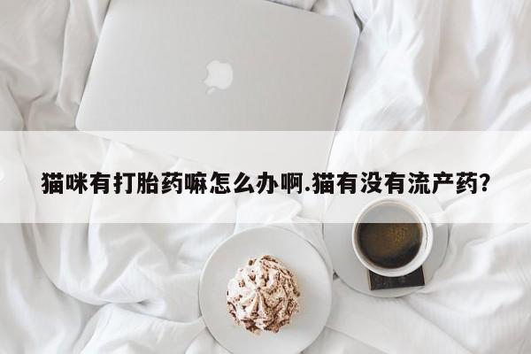 米非米索官方旗舰店猫咪有打胎药嘛怎么办啊.猫有没有流产药？