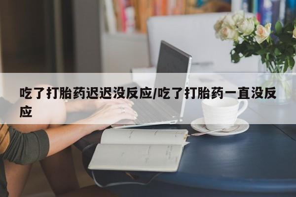 米非米索官方旗舰店吃了打胎药迟迟没反应/吃了打胎药一直没反应